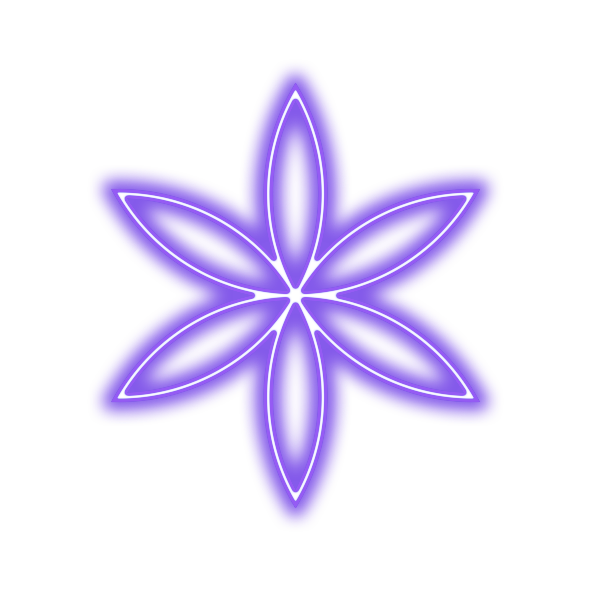 flores neon